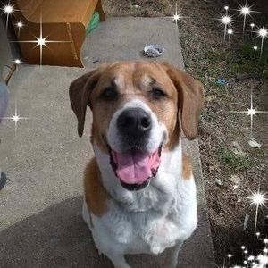 Meet your Posher, Brenda